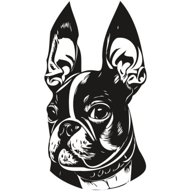 Boston Terrier köpek eli çizilmiş sanat vektörü siyah-beyaz logo hayvanları çizimi illüstrasyonu