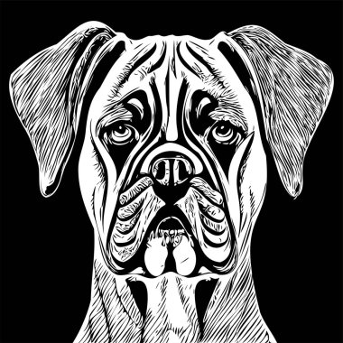 Boksör köpeği el çizimi çizimi sanat vektörü siyah-beyaz logo hayvanları çizimi illüstrasyonu