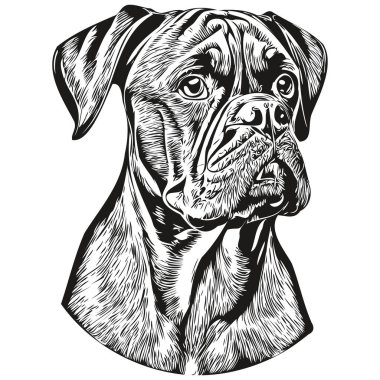 Boksör köpek eli logo çizilmiş sanat vektörü siyah beyaz evcil hayvan çizimi çiziyor