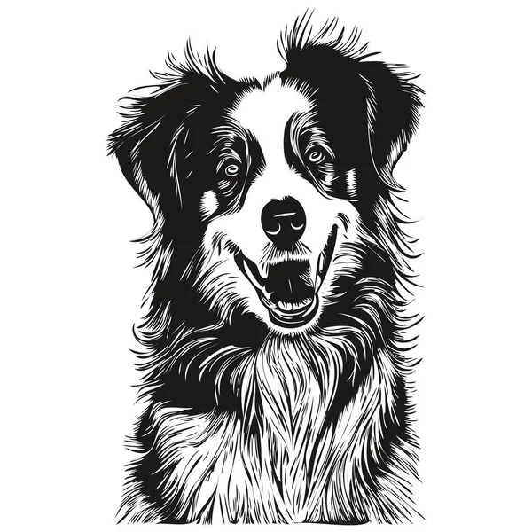 澳大利亚牧羊犬手绘矢量线条画图黑白标识宠物插画 — 图库矢量图片