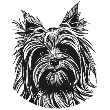 Yorkshire Terrier dog hand drawn logo line art vector drawing black and white pets illustratio