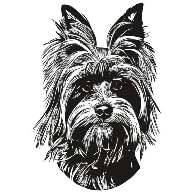 Yorkshire Terrier dog hand drawn logo line art vector drawing black and white pets illustratio