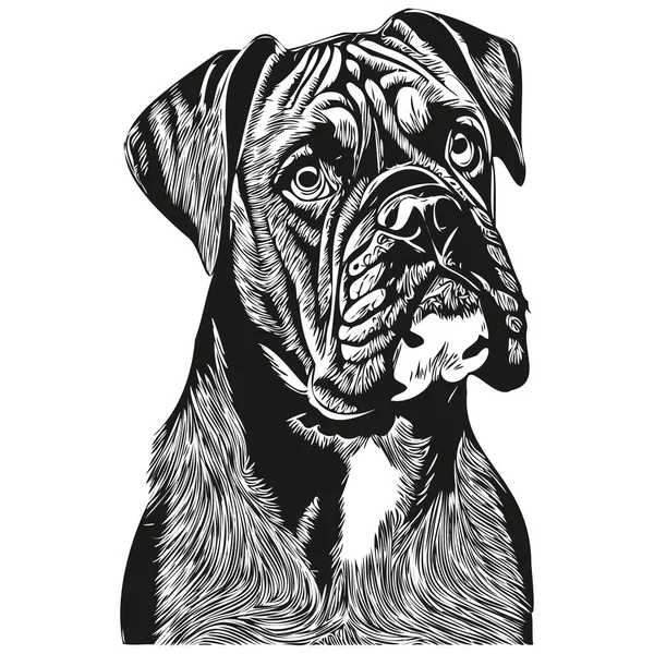 Boxer Hund Hand Gezeichnet Logo Linie Kunst Vektor Zeichnung Schwarz — Stockvektor