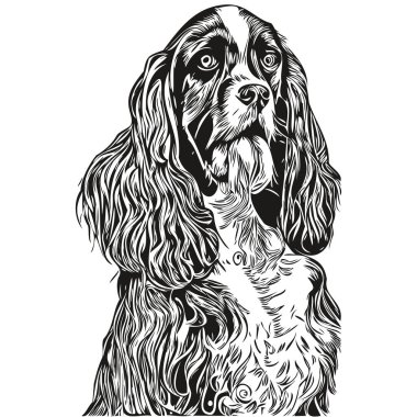 Spaniel English Springer dog hand drawn vector line art drawing black and white logo pets illustratio