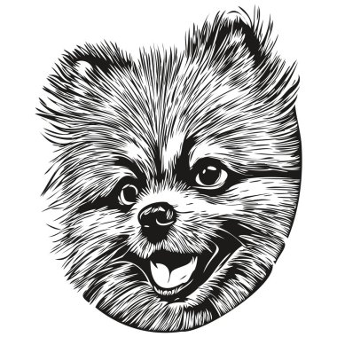 Pomeranya köpek vektör illüstrasyonu, el çizimi sanat hayvanları logosu siyah ve beyaz