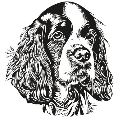 Spaniel İngiliz Springer köpek logosu çizilmiş çizgili sanat vektörü siyah beyaz evcil hayvan illüstrasyonu