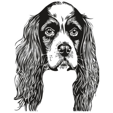 Spaniel İngiliz Springer köpek çizgisi sanat el çizimi vektör logosu siyah beyaz evcil hayvan illüstrasyonu