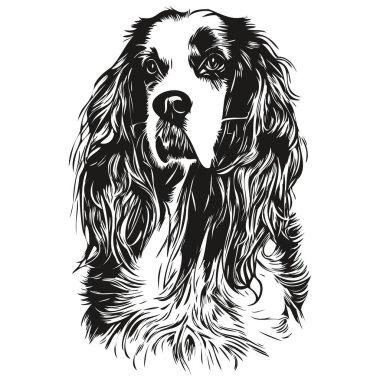 Spaniel English Springer köpek vektör çizimi, el çizimi sanat hayvanları logosu siyah ve beyaz