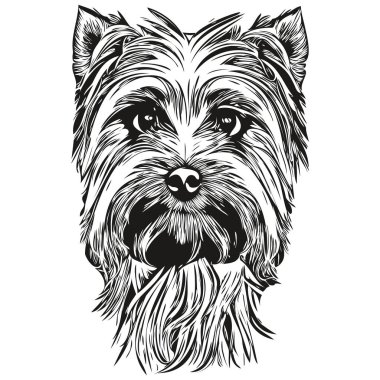 Yorkshire Terrier dog hand drawn logo line art vector drawing black and white pets illustratio