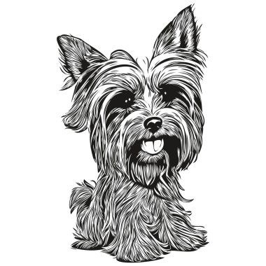 Yorkshire Teriyer köpeği el çizimi vektör çizgisi siyah beyaz logo hayvanları çizimi