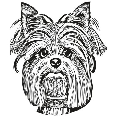 Yorkshire Teriyer köpeği el çizimi vektör çizgisi siyah beyaz logo hayvanları çizimi