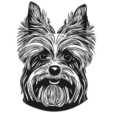 Yorkshire Teriyer köpeği el çizimi vektör çizgisi siyah beyaz logo hayvanları çizimi