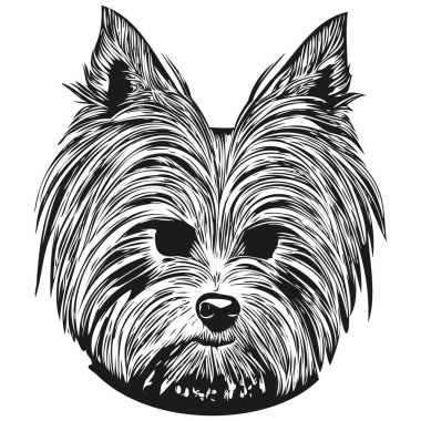 Yorkshire Teriyer köpeği el çizimi vektör çizgisi siyah beyaz logo hayvanları çizimi