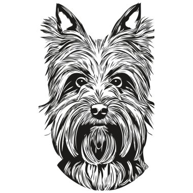 Yorkshire Teriyeri köpek köpek el çizimi vektör logosu siyah beyaz çizgi çiziyor.