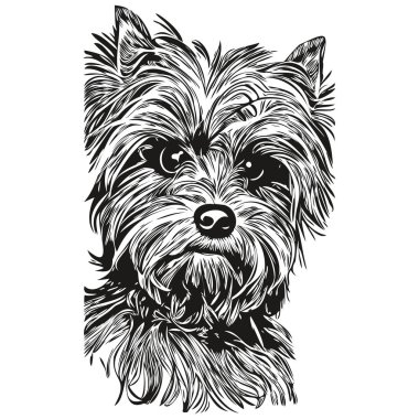 Yorkshire Teriyeri köpek köpek el çizimi vektör logosu siyah beyaz çizgi çiziyor.