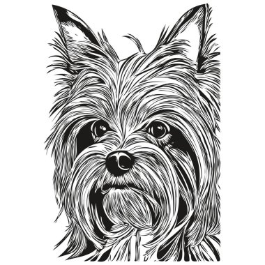 Yorkshire Terrier köpek hattı sanat el çizimi vektör logosu siyah ve beyaz evcil hayvan illüstrasyonu