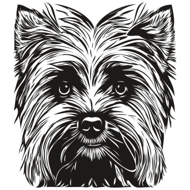 Yorkshire Terrier köpek logosu çizilmiş çizgili sanat vektörü siyah ve beyaz evcil hayvan illüstrasyonu