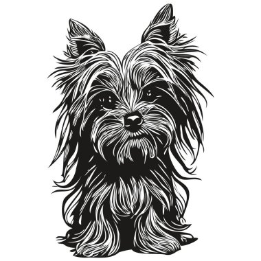 Yorkshire Terrier köpek logosu çizilmiş çizgili sanat vektörü siyah ve beyaz evcil hayvan illüstrasyonu