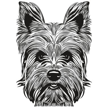 Yorkshire Terrier köpek logosu çizilmiş çizgili sanat vektörü siyah ve beyaz evcil hayvan illüstrasyonu