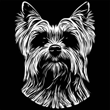 Yorkshire Terrier köpek vektör illüstrasyonu, el çizimi sanat hayvanları logosu siyah ve whit