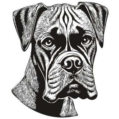 Boksör köpeği logosu. El çizimi sanat vektörü. Siyah ve beyaz evcil hayvan çizimi.