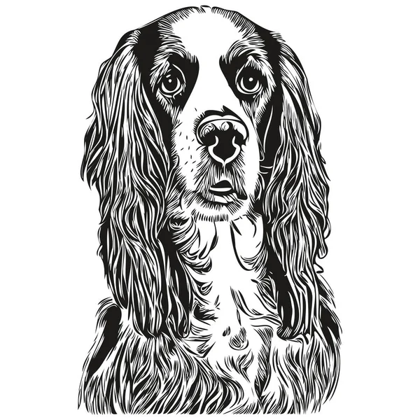 Spaniel Inglês Springer Cão Mão Desenhada Vetor Logotipo Desenho Preto — Vetor de Stock