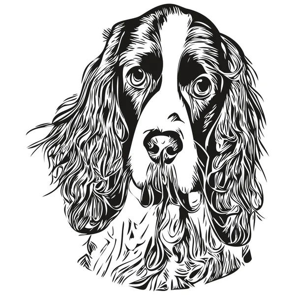Spaniel English Springer Dog Hand Drawn Vector Logo Drawing Black — Stockový vektor