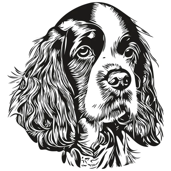 Spaniel English Springer Dog Logo Hand Drawn Line Art Vector — Stock Vector