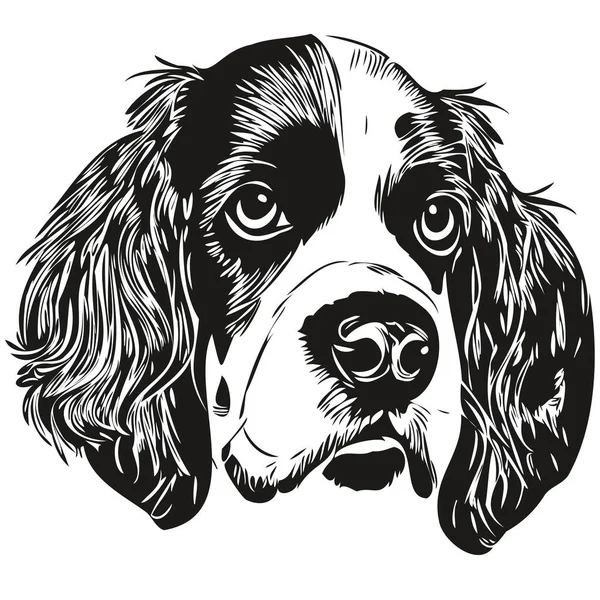 Spaniel English Springer Dog Line Art Hand Drawing Vector Logo — Stock Vector