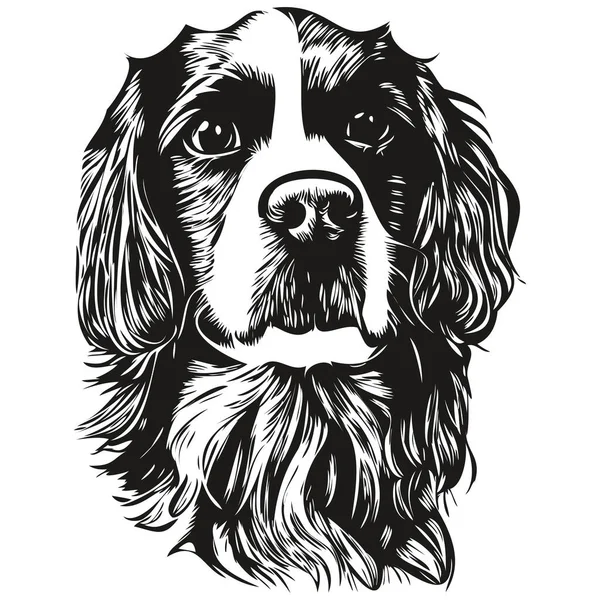 Spaniel English Springer Dog Logo Ručně Kreslené Čáry Art Vektor — Stockový vektor