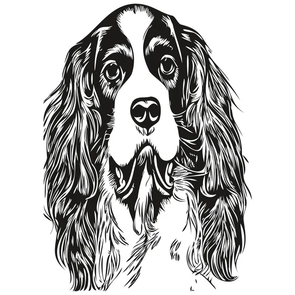 Spaniel Αγγλική Springer Σκυλί Διανυσματική Απεικόνιση Ζωγραφισμένα Στο Χέρι Γραμμή — Διανυσματικό Αρχείο