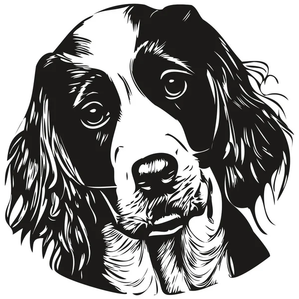 スペイン語英語スプリンガー犬ベクトルイラスト 手描きラインアートペットロゴ黒と白 — ストックベクタ