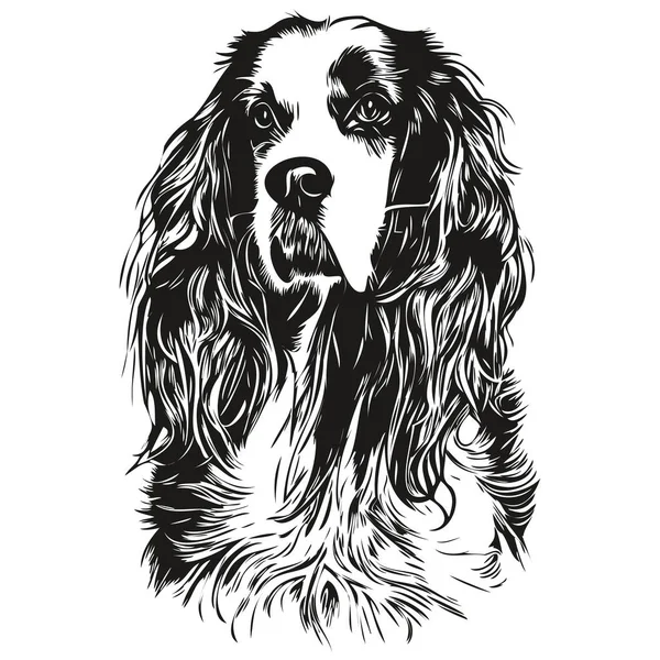 Spaniel English Springer Pies Wektor Ilustracja Ręcznie Rysowane Linii Sztuki — Wektor stockowy
