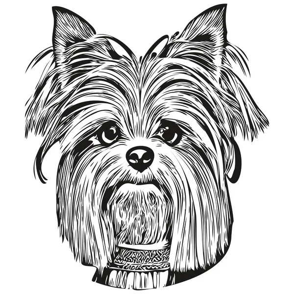 Yorkshire Teriyer köpeği el çizimi vektör çizgisi siyah beyaz logo hayvanları çizimi