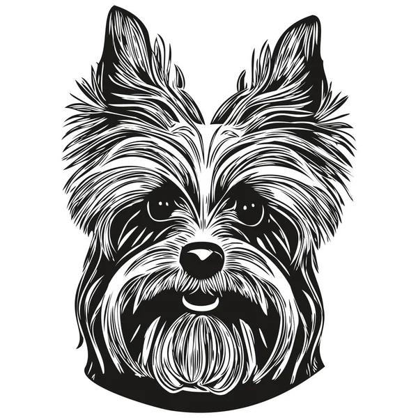 Yorkshire Terrier Chien Dessiné Main Vectoriel Ligne Art Dessin Noir — Image vectorielle
