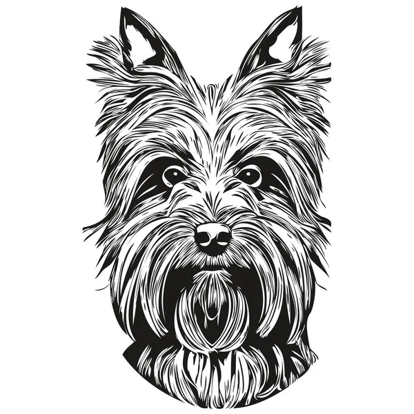 Yorkshire Terrier Chien Dessiné Main Vectoriel Logo Dessin Noir Blanc — Image vectorielle