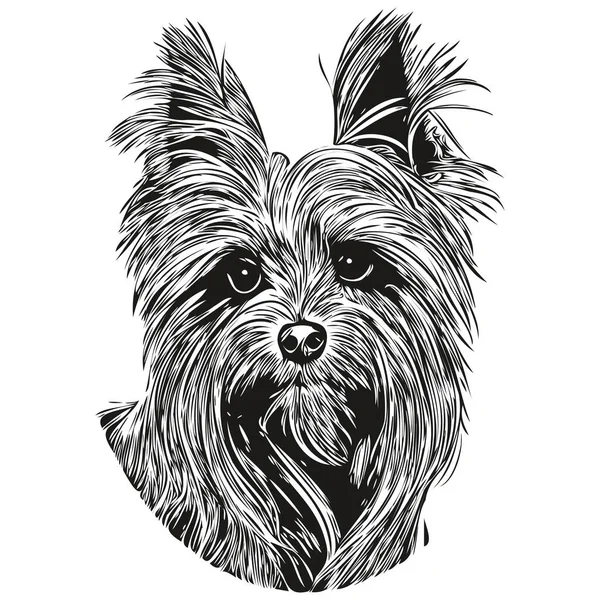 Yorkshire Terrier Pies Ręcznie Rysowane Wektor Logo Rysunek Czarno Białe — Wektor stockowy