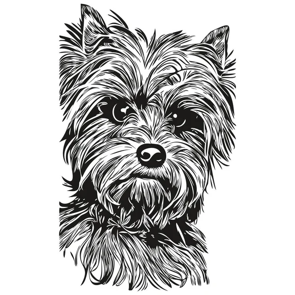 Yorkshire Teriyeri köpek köpek el çizimi vektör logosu siyah beyaz çizgi çiziyor.