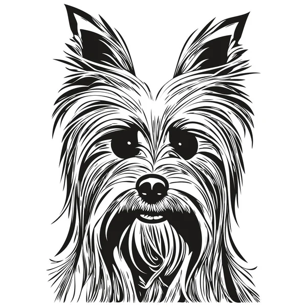 Yorkshire Terrier Cane Disegnato Mano Vettore Logo Disegno Bianco Nero — Vettoriale Stock
