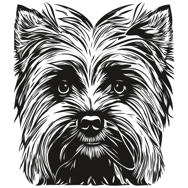Yorkshire Terrier Chien Logo Ligne Dessinée Main Art Vectoriel Dessin — Image vectorielle
