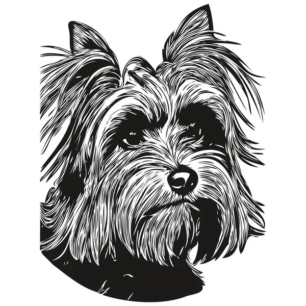 Yorkshire Terrier Perro Logotipo Dibujado Mano Línea Arte Vector Dibujo — Vector de stock