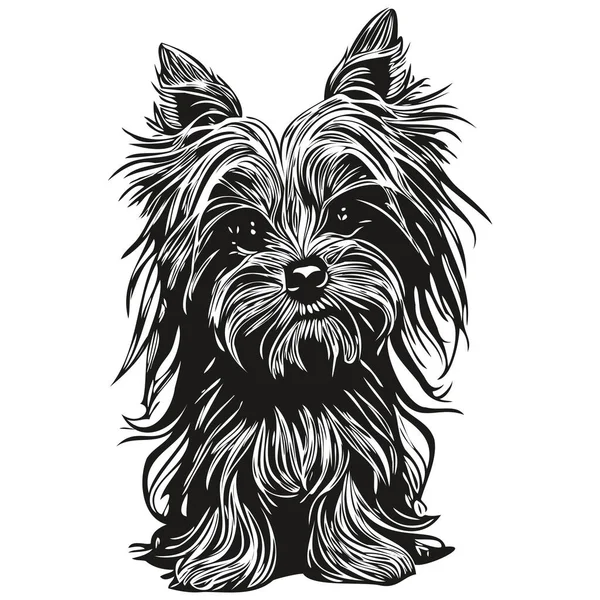 Yorkshire Terrier Perro Logotipo Dibujado Mano Línea Arte Vector Dibujo — Vector de stock
