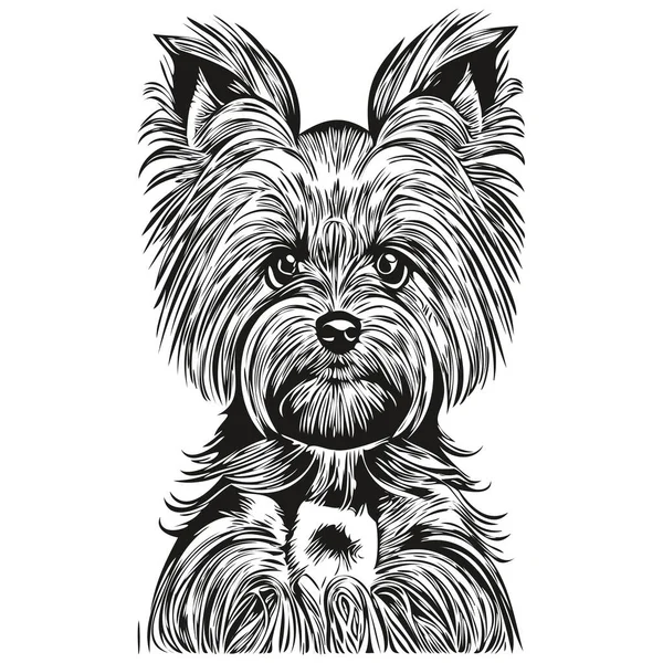 Yorkshire Terrier Perro Vector Ilustración Dibujado Mano Línea Arte Mascotas — Vector de stock