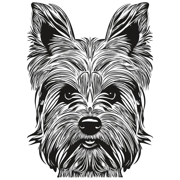 约克郡特瑞尔犬标志手绘线条艺术矢量画黑白宠物图解 — 图库矢量图片