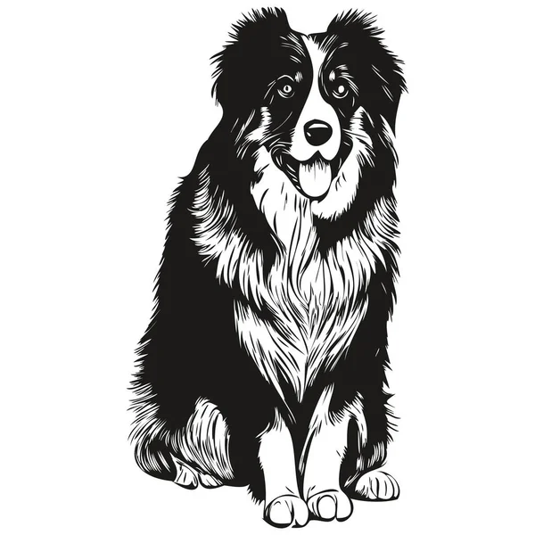 Avustralya Çoban Köpeği Logosu Çizilmiş Sanat Vektörü Siyah Beyaz Evcil — Stok Vektör