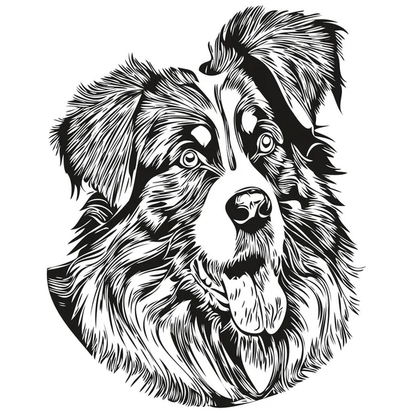 Australian Shepherd Dog Line Art Hand Drawing Vector Logo Black — Stok Vektör