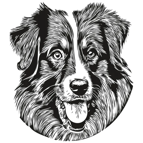 Australiska Shepherd Hund Logotyp Hand Dras Linje Konst Vektor Ritning — Stock vektor
