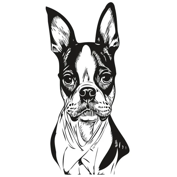 Boston Terrier Garis Anjing Seni Tangan Menggambar Vektor Logo Hitam - Stok Vektor
