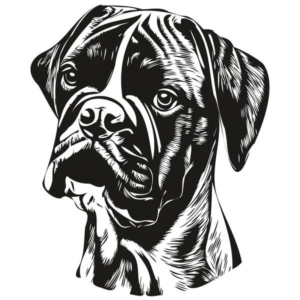 Boxer Dog Hand Drawn Vector Logo Drawing Black White Line — 图库矢量图片