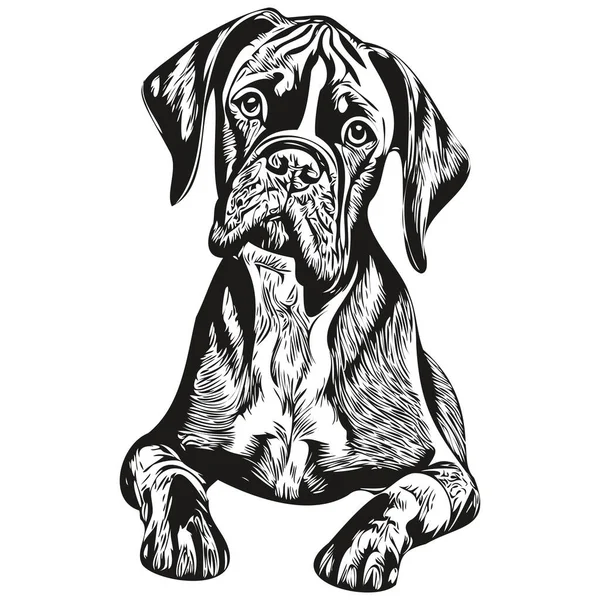 拳击犬矢量图解 手绘线条宠物标识黑白相间 — 图库矢量图片